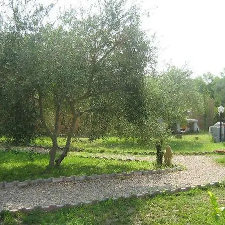 B Tortolì